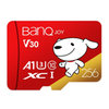 BanQ U1 Pro(256GB)