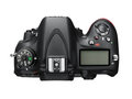 ῵D600(6)