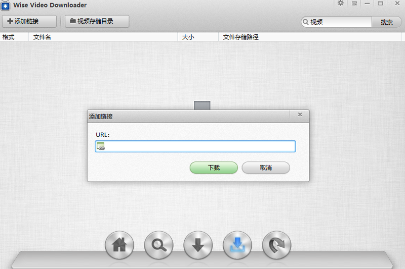 Wise Video Downloaderͼ2